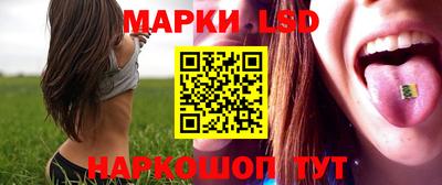 стафф Берёзовский