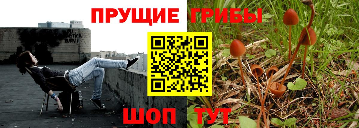 Псилоцибиновые грибы ЛСД  Вход с VPN  Галлюциногенные грибы Cubensis  Заводоуковск 